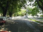 Strada Carpati la Policlinica.jpg (159kb)
